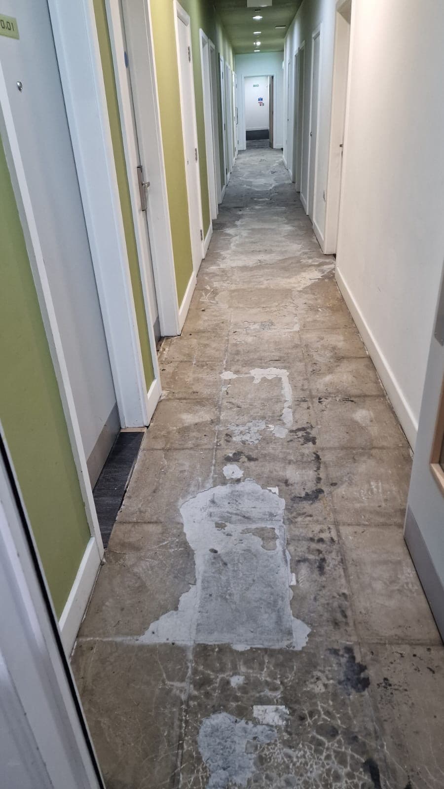 Carpet & Safety Floor Replacement — image 3